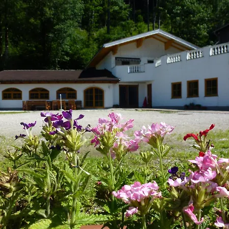 Gæstehus Pension Steinbraeu 3*