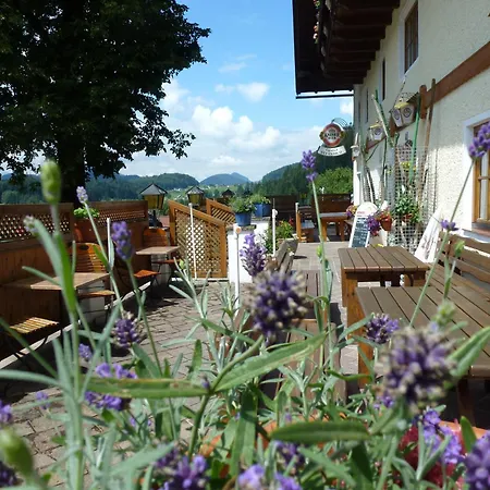Pension Steinbraeu 3* Faistenau