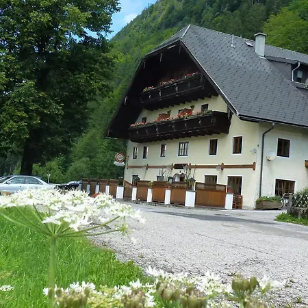 Steinbraeu Guest house Faistenau