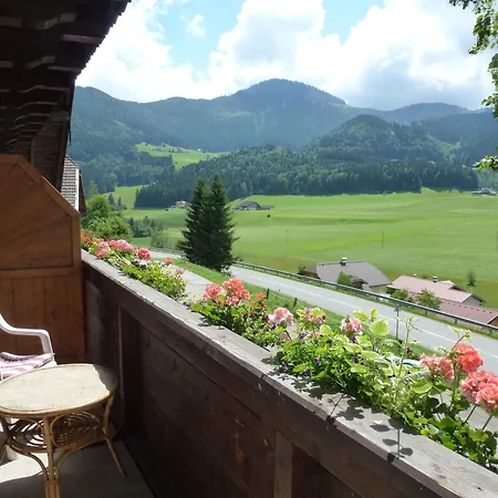 Casa de hóspedes Steinbraeu Faistenau